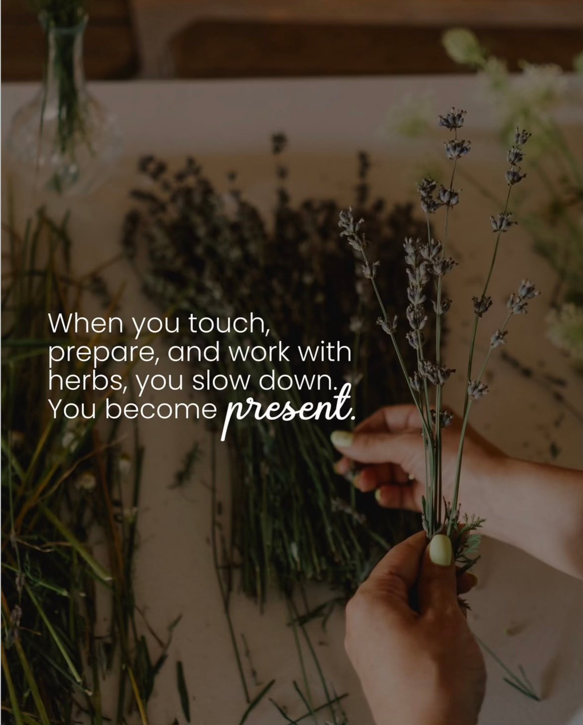 Hands holding lavender — Aconchego Studio